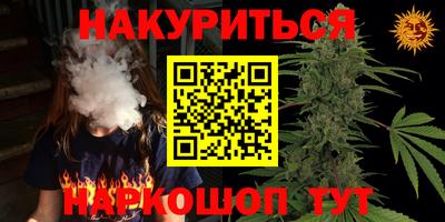 сатива Берёзовский
