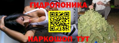 сатива Берёзовский