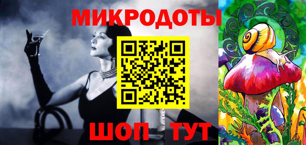 Галлюциногенные грибы Psilocybe Димитровград