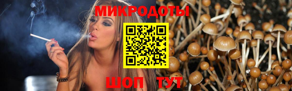 Галлюциногенные грибы GOLDEN TEACHER  Вход с VPN  Димитровград 